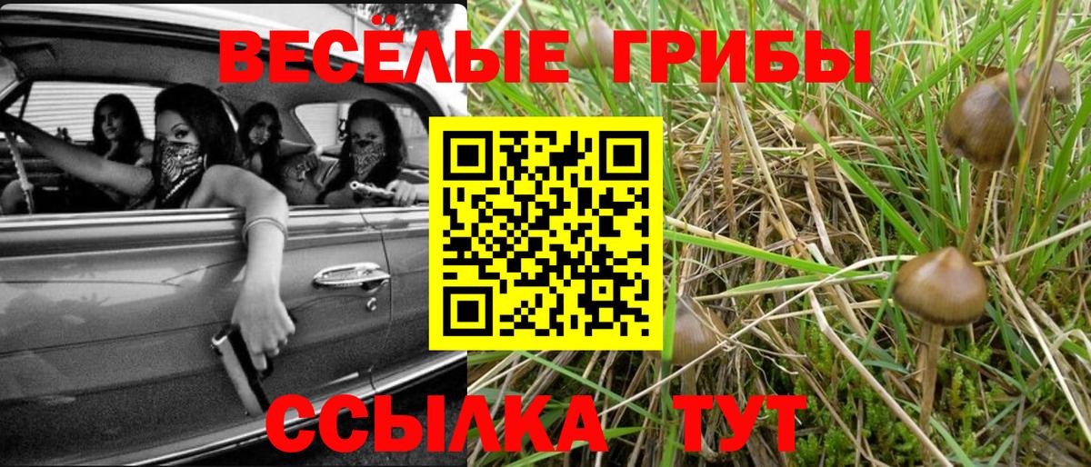 Галлюциногенные грибы ЛСД Белорецк