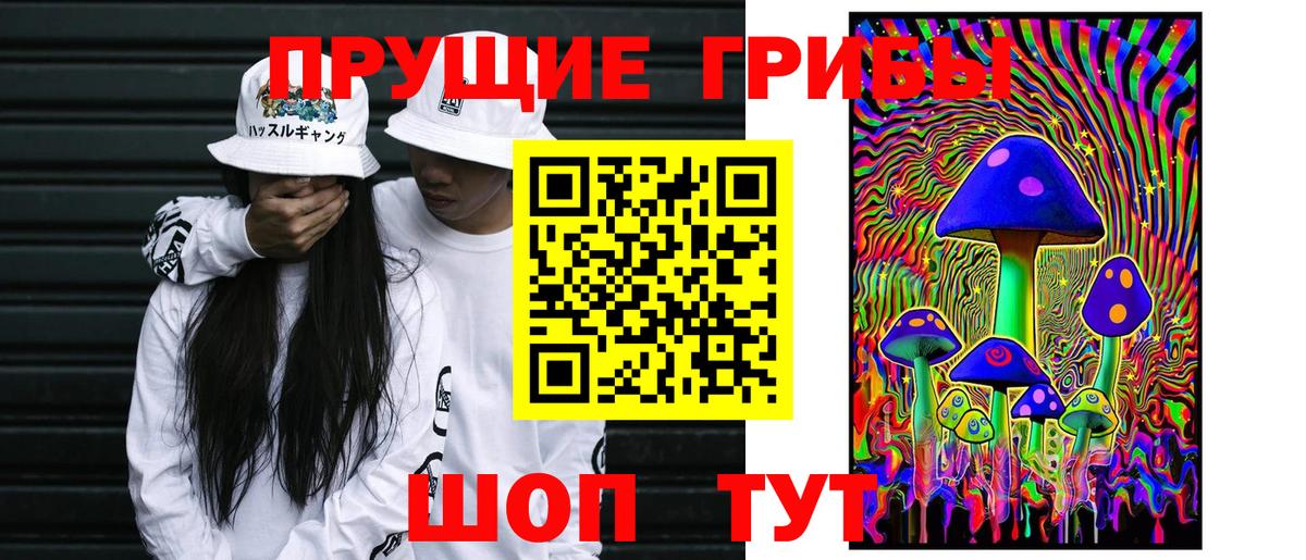 Белорецк  Псилоцибиновые грибы GOLDEN TEACHER  Вход с VPN 
